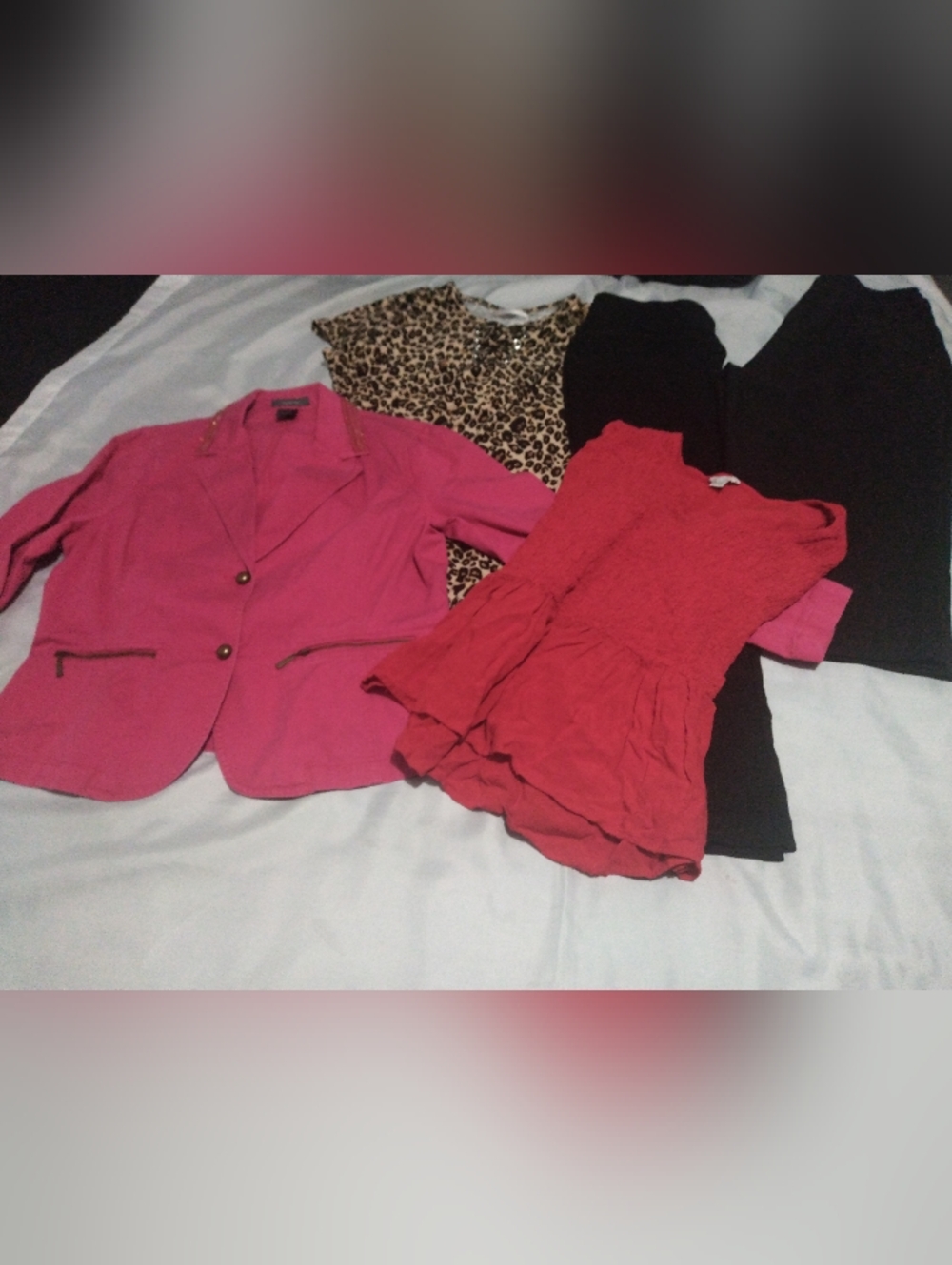 6-piece Medium/Large Pre- Owned Clothing Bundle $10